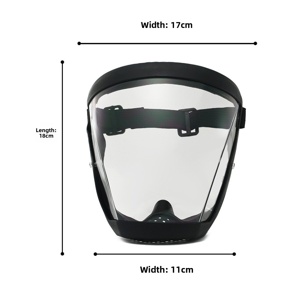 Full Face Protective Glasses H - đánh giá và giá Anti Pollution Mask